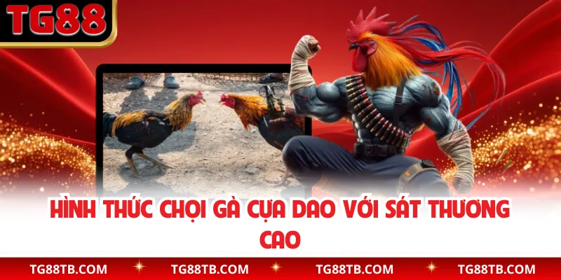 Hình thức chọi gà cựa dao với sát thương cao