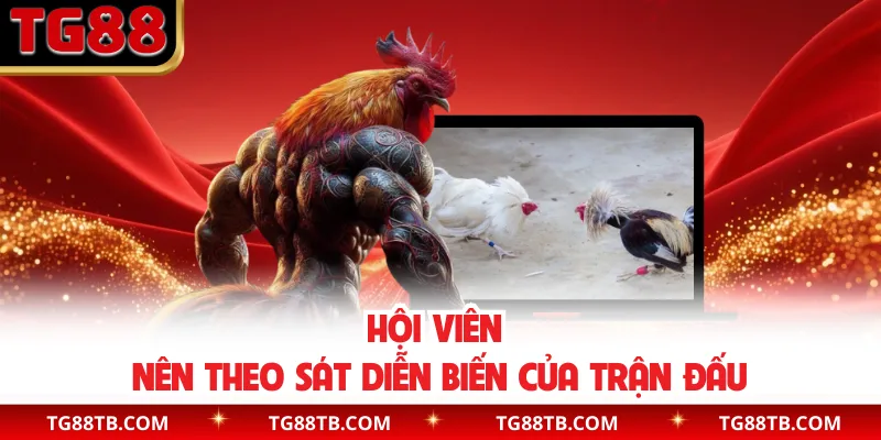 Hội viên nên theo sát diễn biến của trận đấu